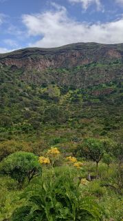 GC-Caldera de Bandama 2026-116.jpg